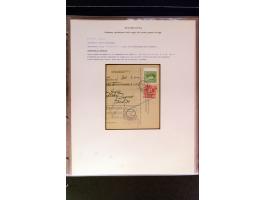 368. Auction - 4213