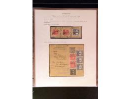 368. Auction - 4213