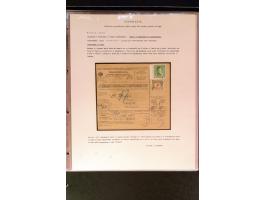 368. Auction - 4213