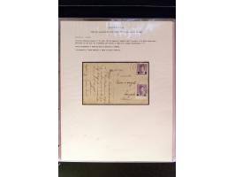 368. Auction - 4213