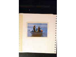 371st Auction - 3062
