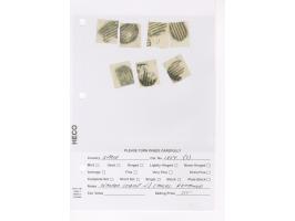 375th Auction - 2213